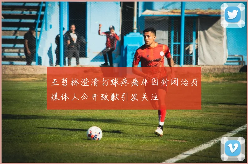 王哲林澄清打球疼痛非因封闭治疗媒体人公开致歉引发关注