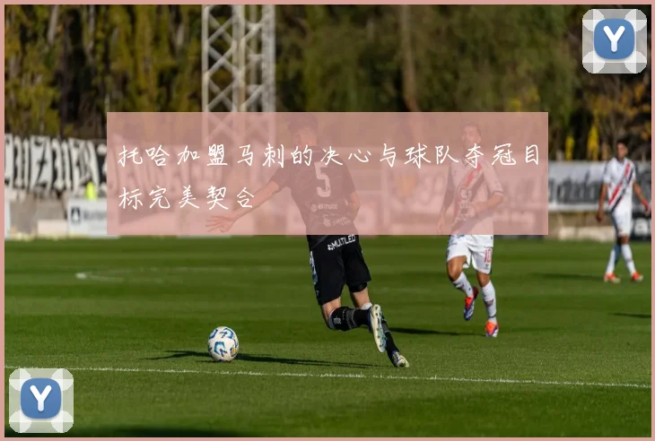 托哈加盟马刺的决心与球队夺冠目标完美契合