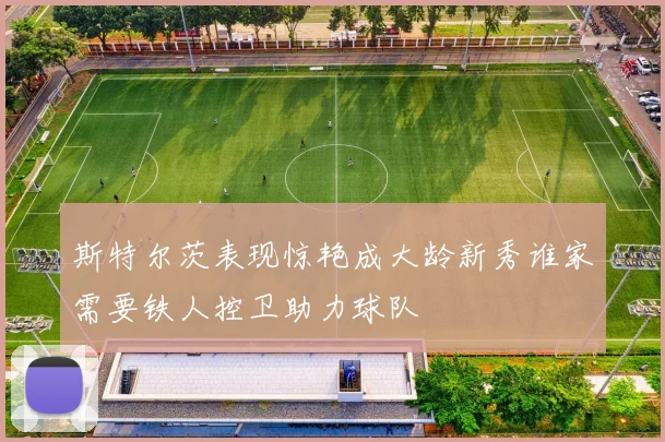 斯特尔茨表现惊艳成大龄新秀谁家需要铁人控卫助力球队